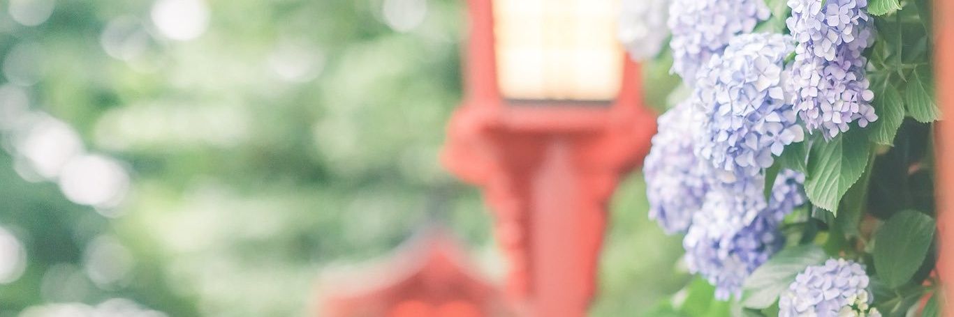 te_chizu's profile banner image