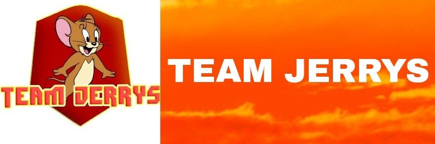 Team Jerrys banner