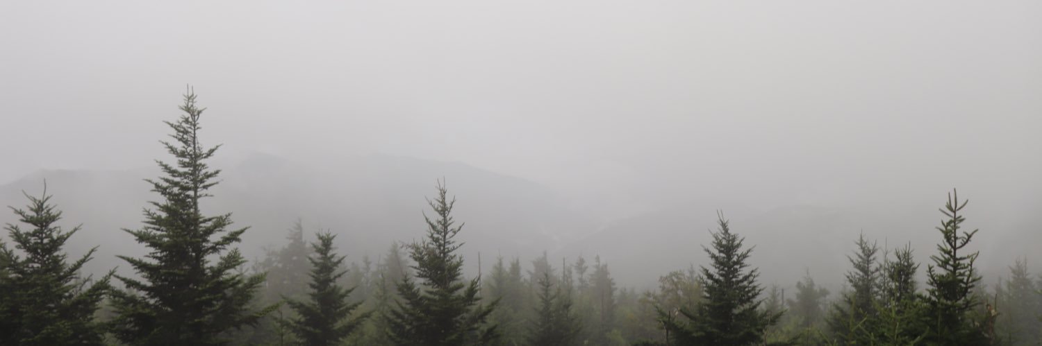 michael_kenneyy's profile banner image