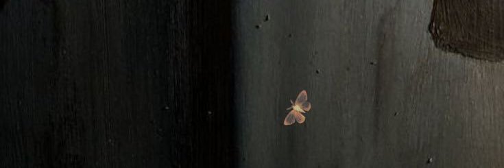 sh9_qi's profile banner image