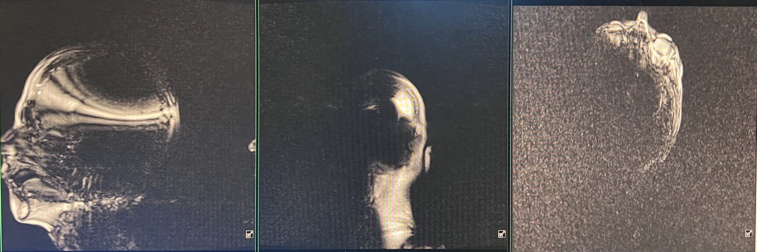 Laura Xavier MD banner