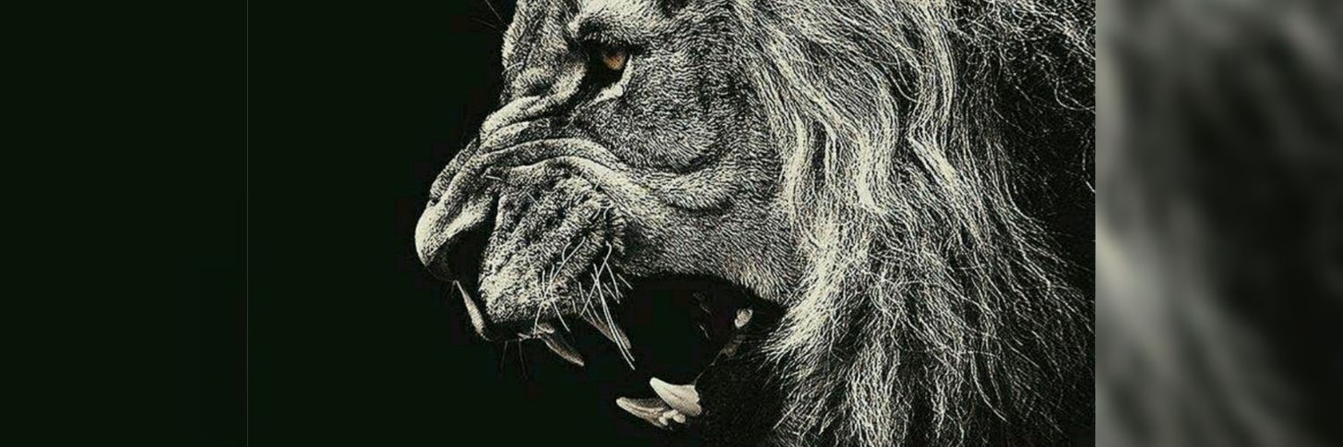 dkirenkumaran's profile banner image