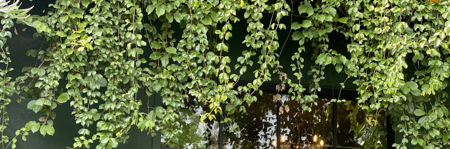 ͜·♡jane banner