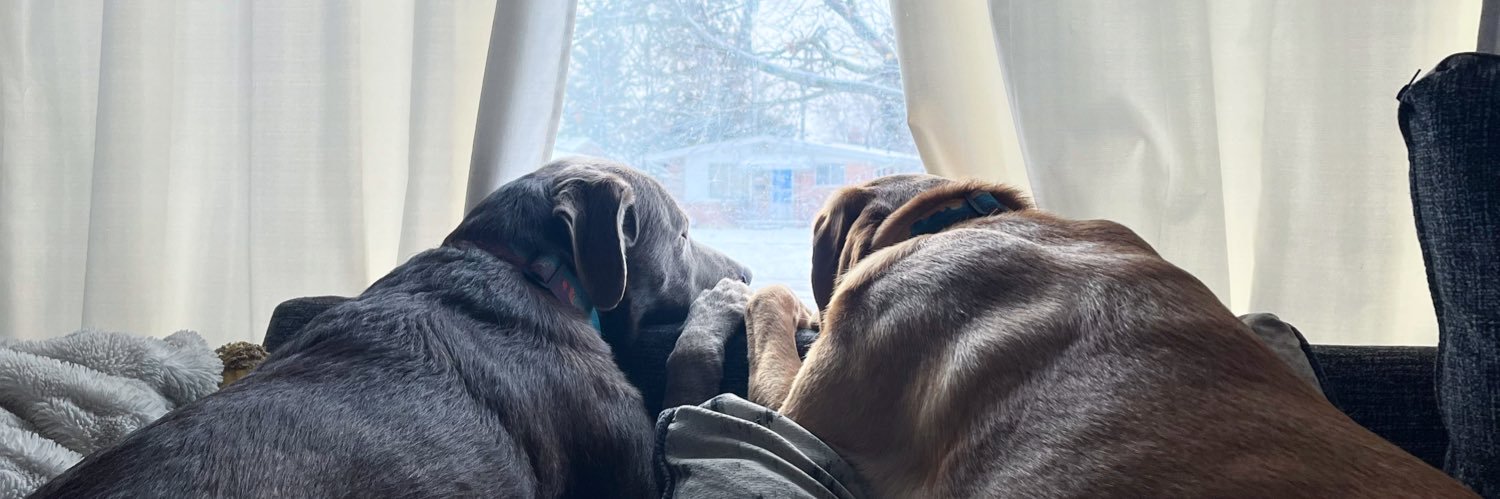 Becca Buck, MET banner