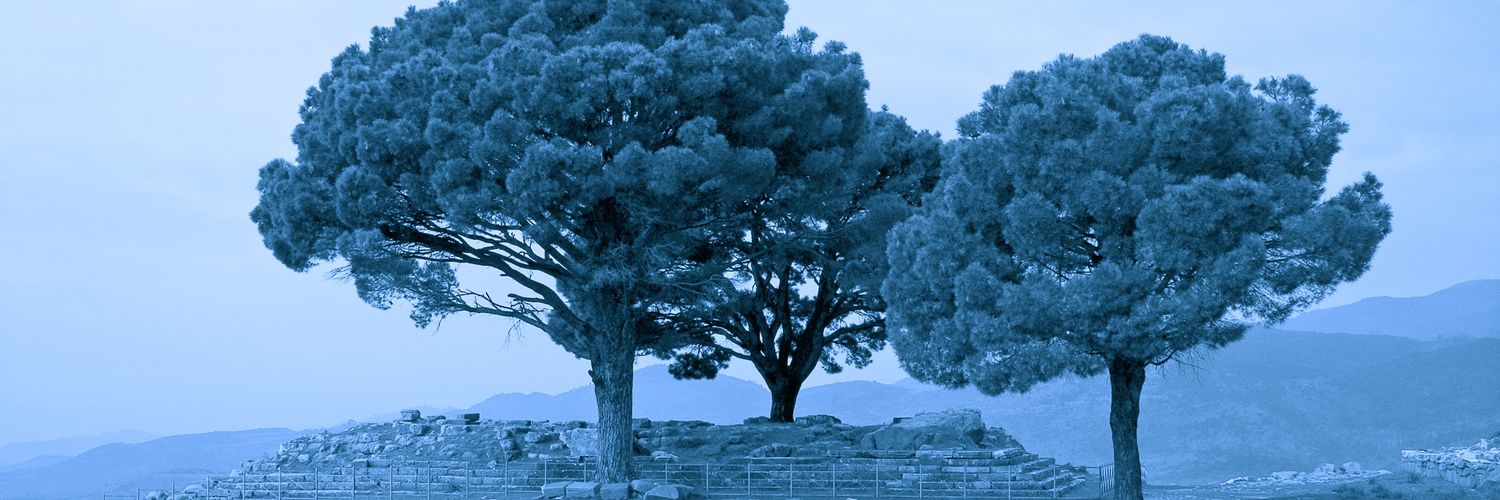 Newgray banner