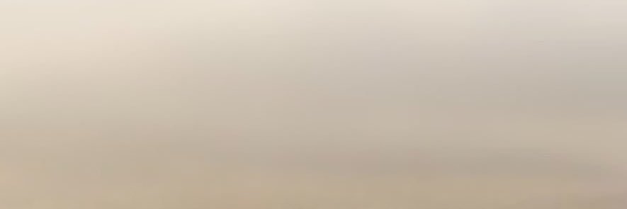 vnlli1_'s profile banner image