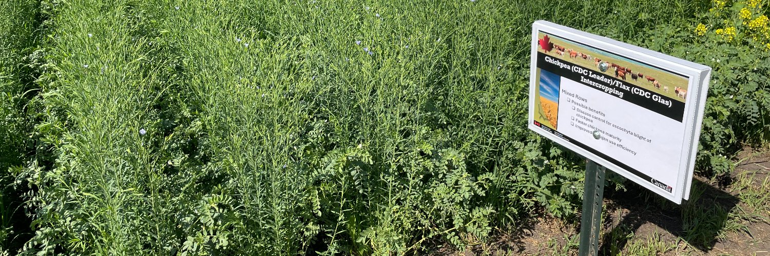 Michelle Hubbard banner