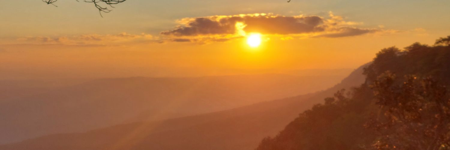 rayes2828's profile banner image