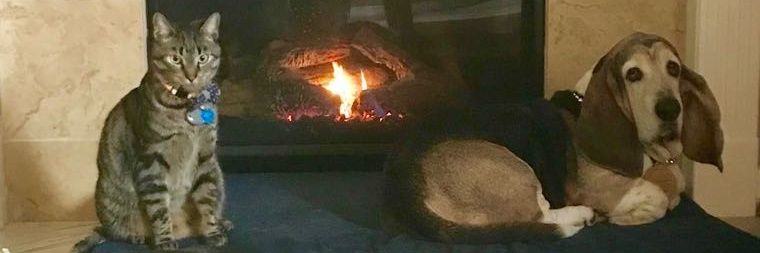 bullwickdbear's profile banner image