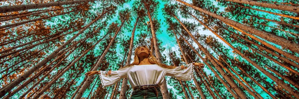 EllenaPPhoto's profile banner image