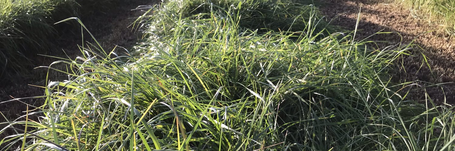 Southern Fuel & Farm Supplies Ltd banner