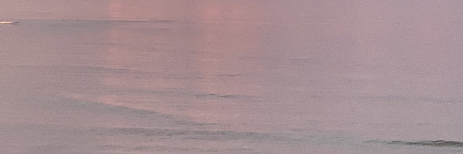 SuzanneHuse's profile banner image