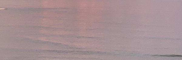 SuzanneHuse Profile Banner