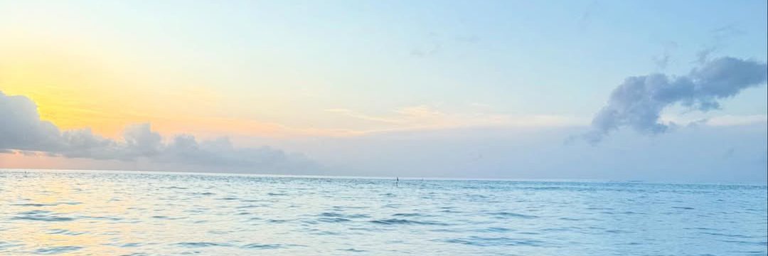 aaric banner