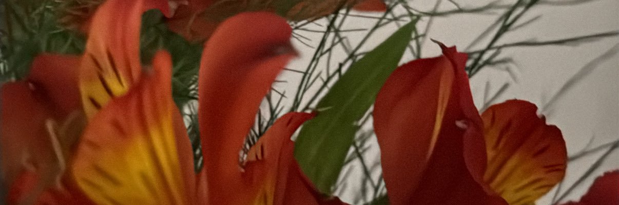 _dariigomez's profile banner image