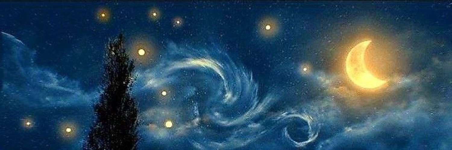 meeraayb's profile banner image