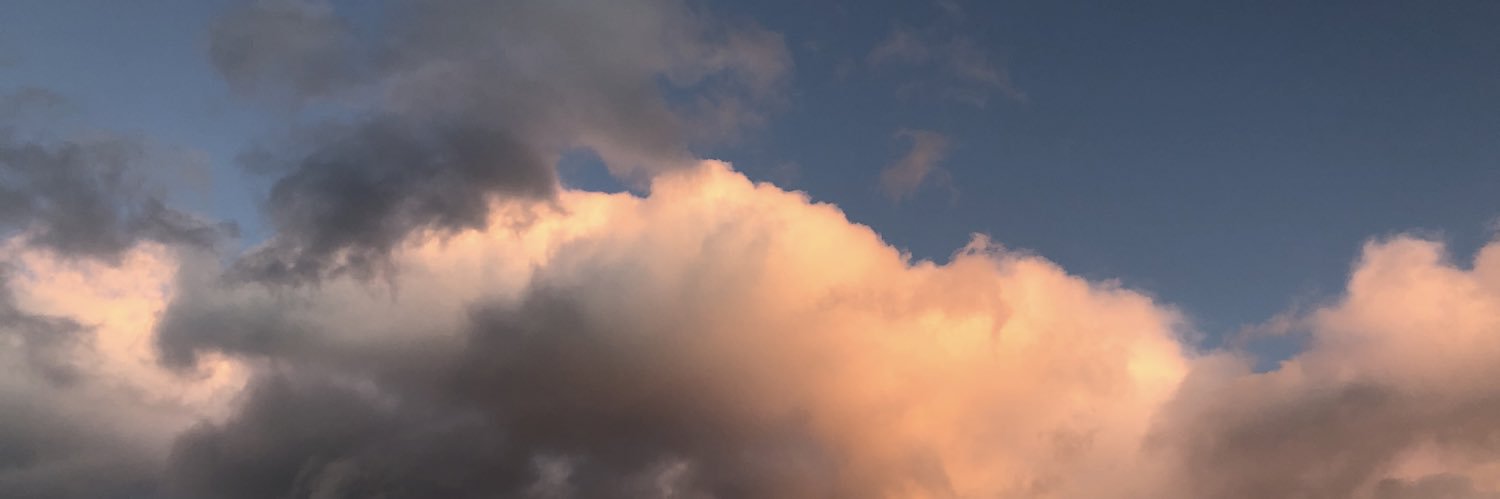 pechtyoro's profile banner image