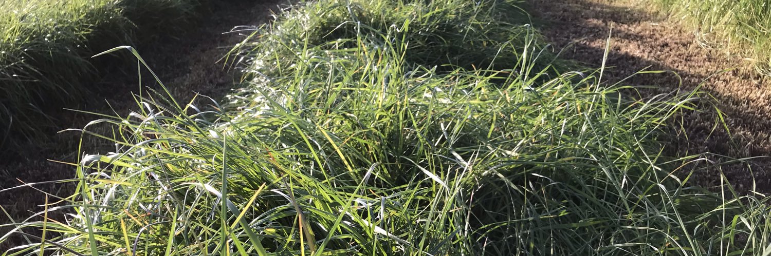 Barrett_Agri's profile banner image
