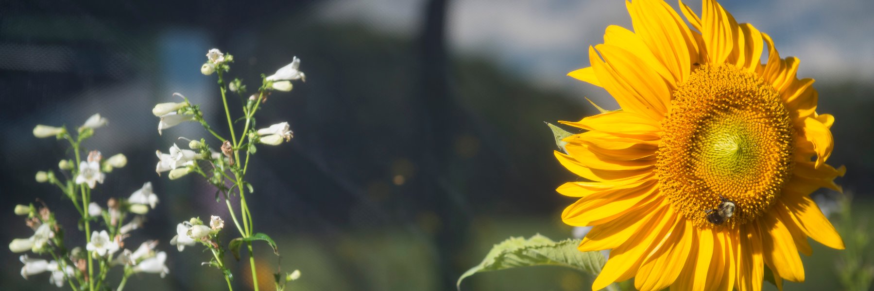 Science Poetry banner