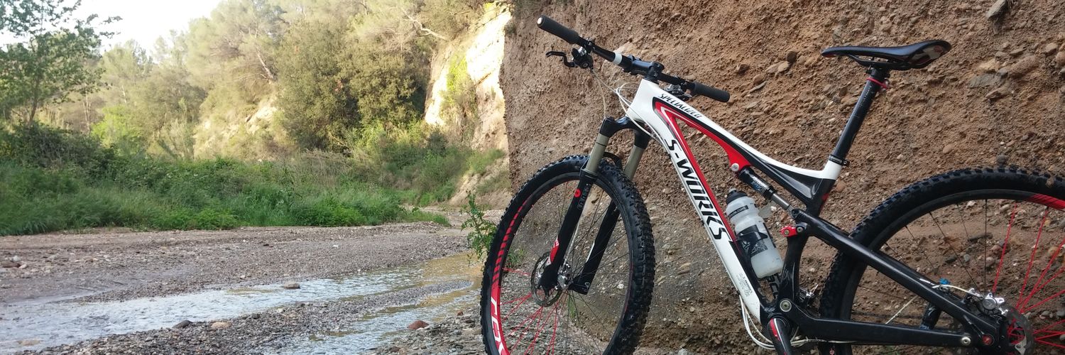 limoneti06's profile banner image