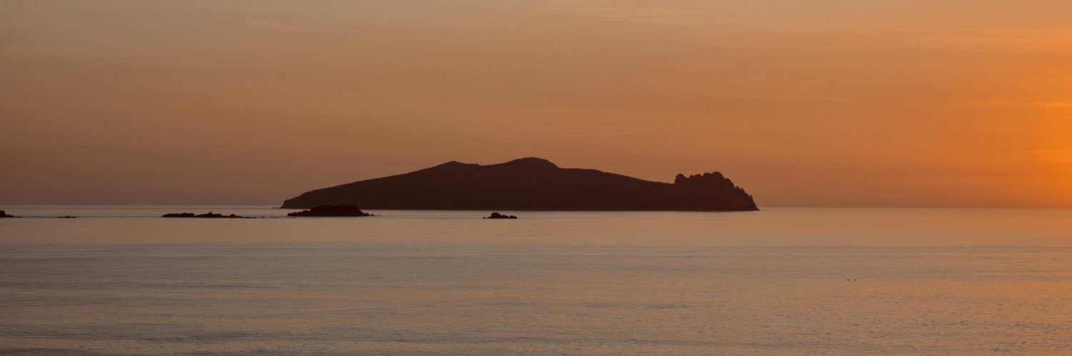 niamhgriff's profile banner image