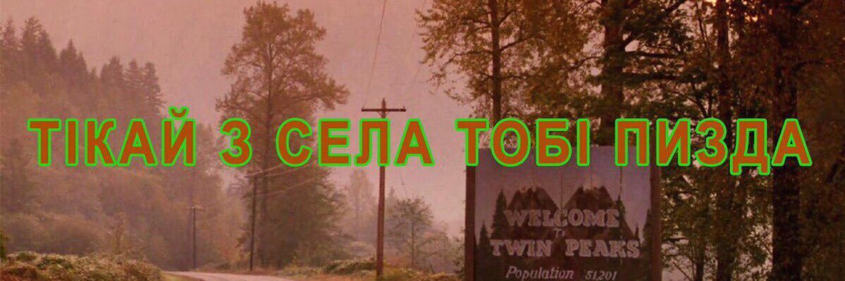 швидка настя banner