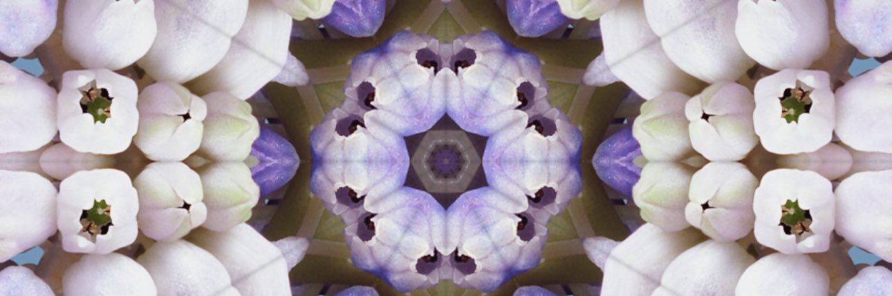 catcatdr's profile banner image