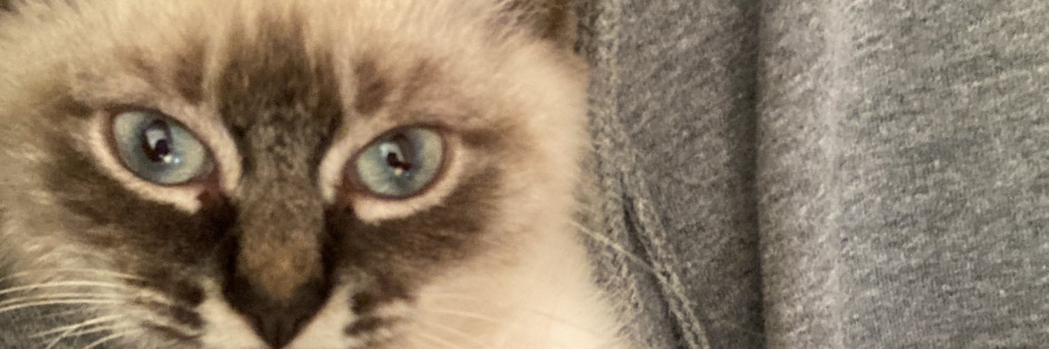 jcaxtt's profile banner image