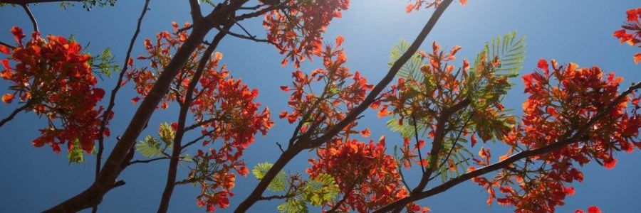 H_Jimena's profile banner image