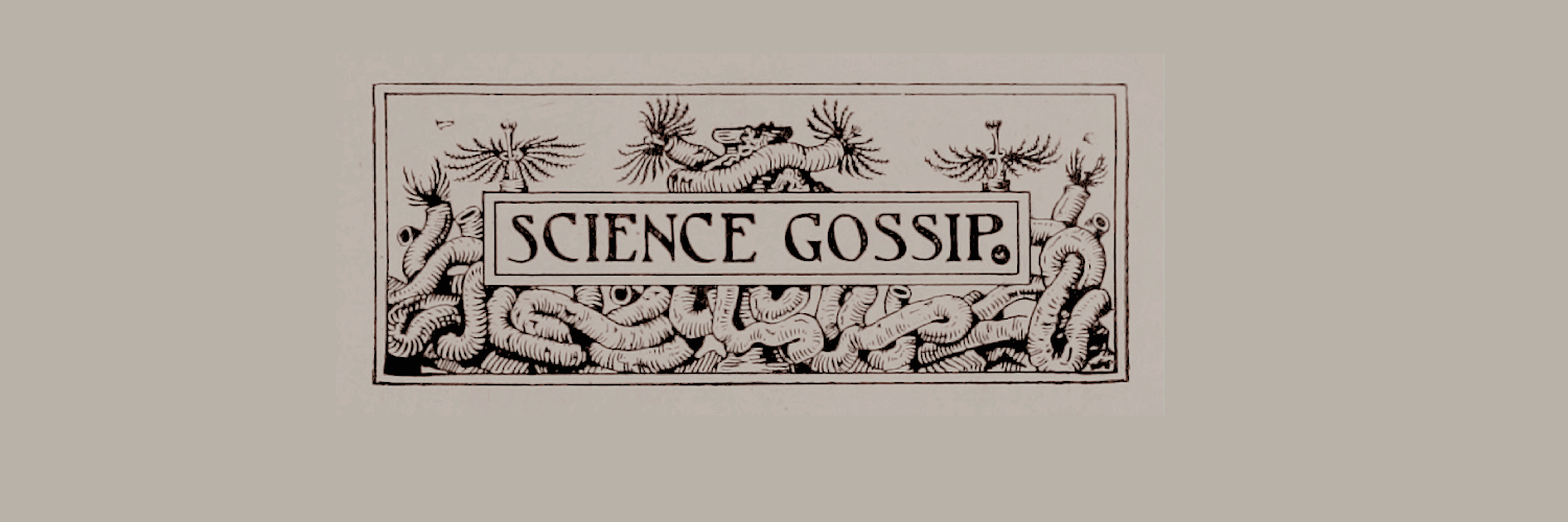 RCMORHASIT's profile banner image
