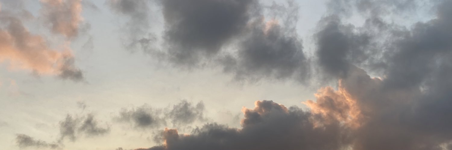 laugea_'s profile banner image