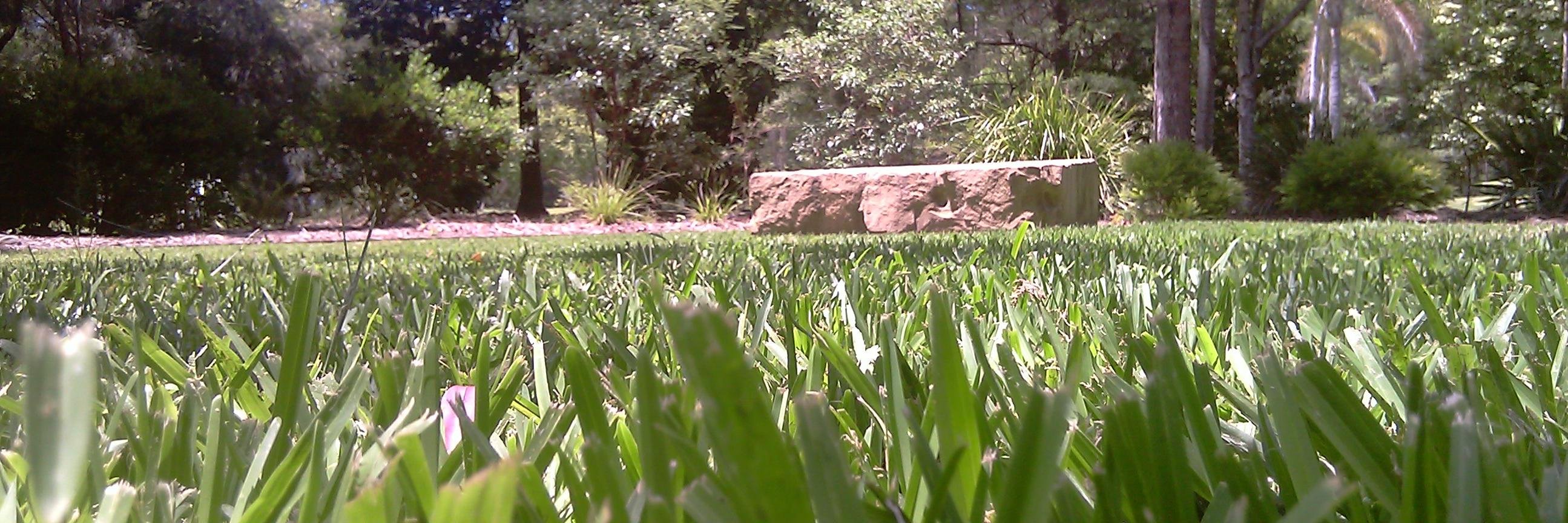 Rebecca Cooke banner