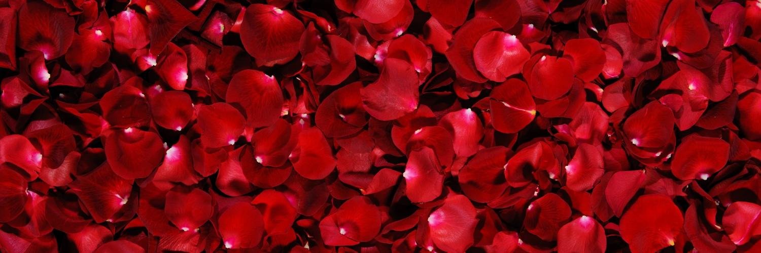 angeshv's profile banner image
