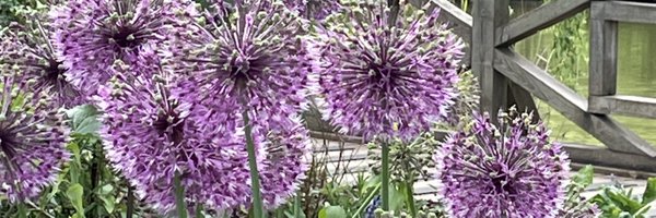 JuliaLehmann70 Profile Banner