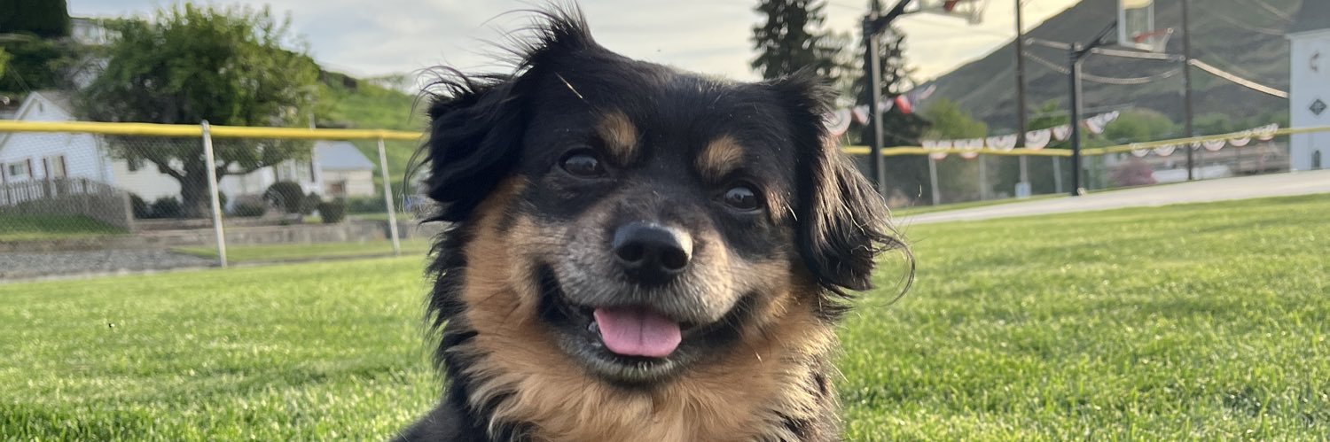 NW_KP's profile banner image