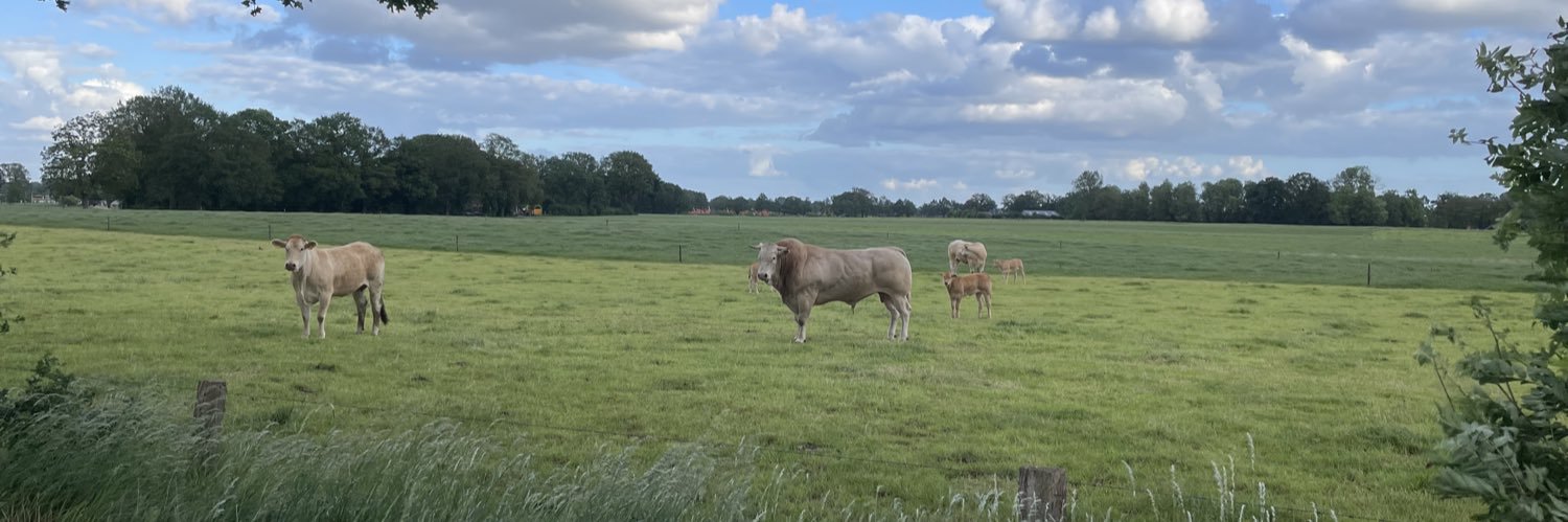 Richard de Way banner