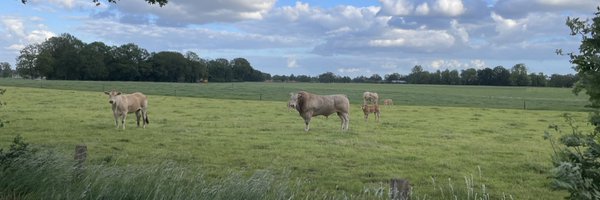 RicharddeWay Profile Banner