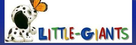 LittleGiants7's profile banner image