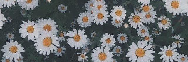 o_06xx's profile banner image