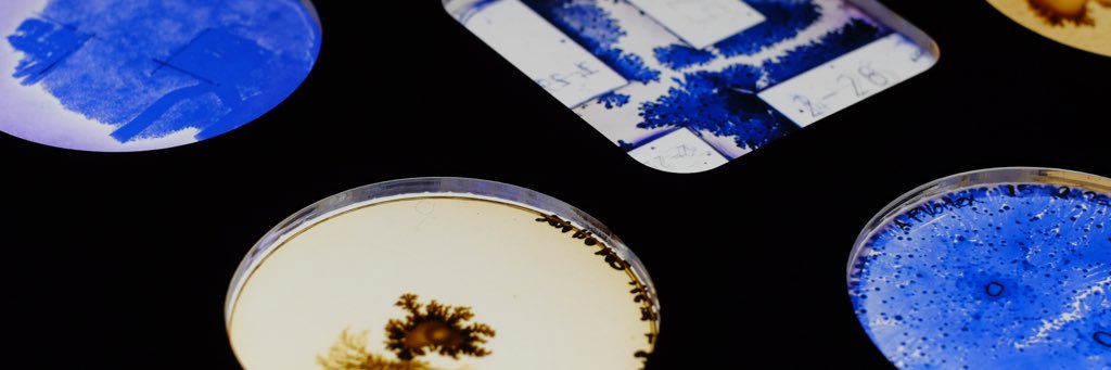 CarolinaR_F's profile banner image