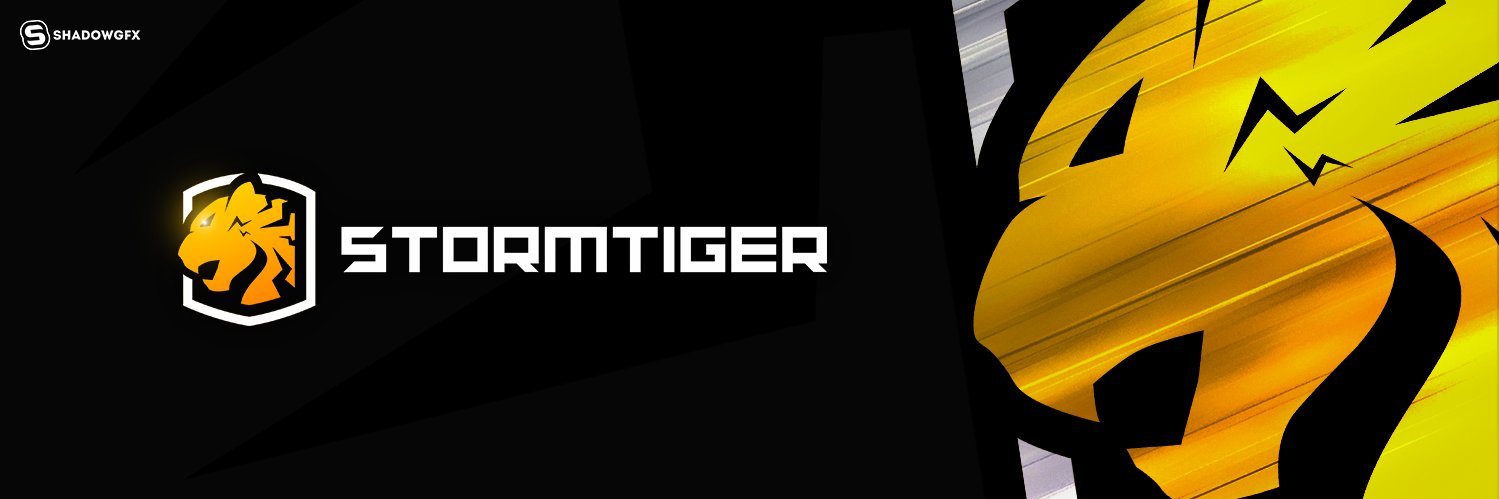Stormtiger Team banner