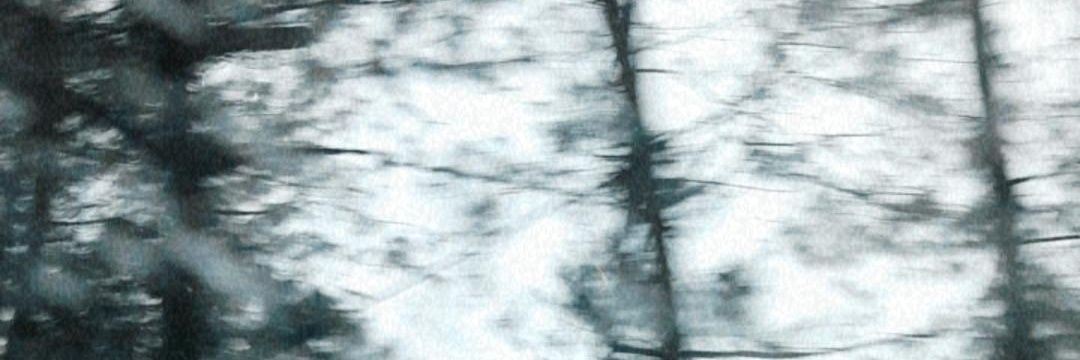 steffous's profile banner image