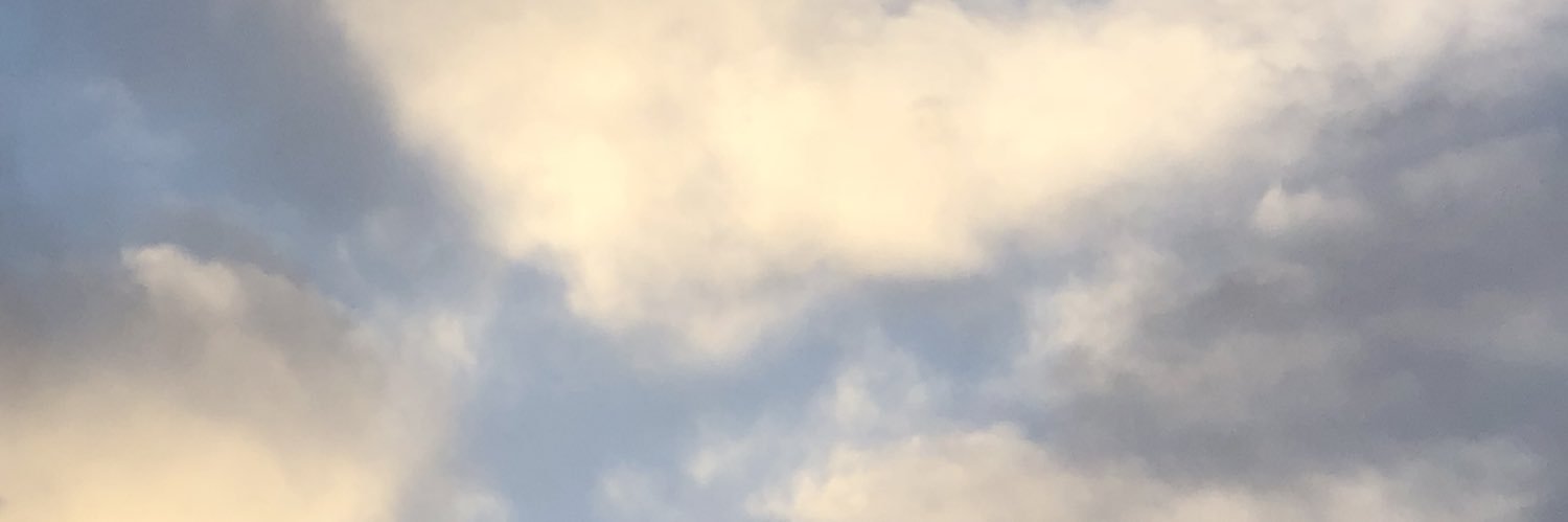 soysourceSkara's profile banner image