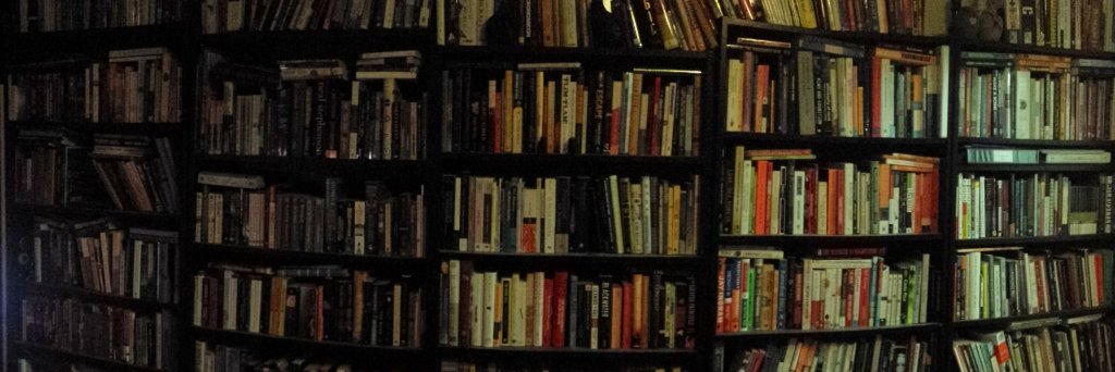 David F. Shultz banner