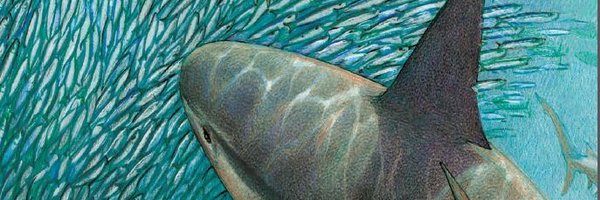 SANCORcommunity Profile Banner