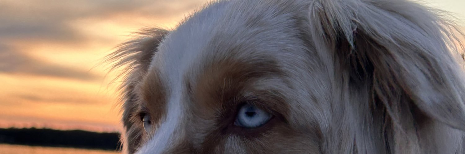 ⚡️Roland 🔋🇺🇦⭐liebt eine besondere Frau❤️ banner