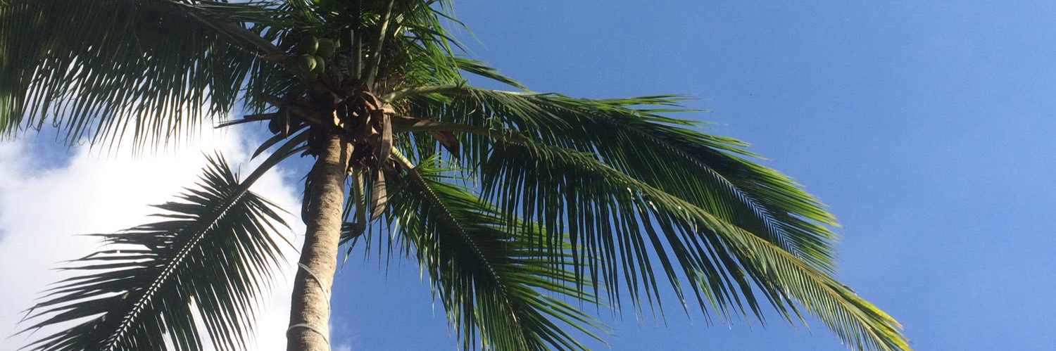 ceskamika_'s profile banner image