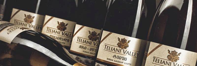 TelianiValley1's profile banner image
