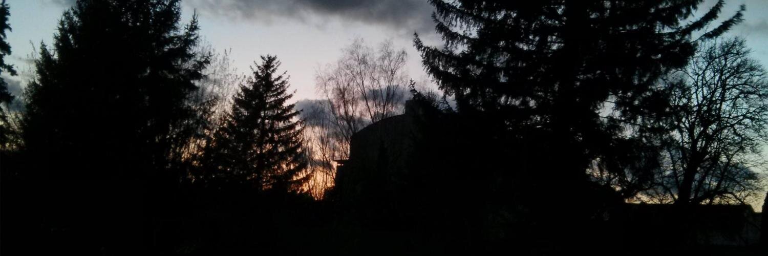 ONitz's profile banner image