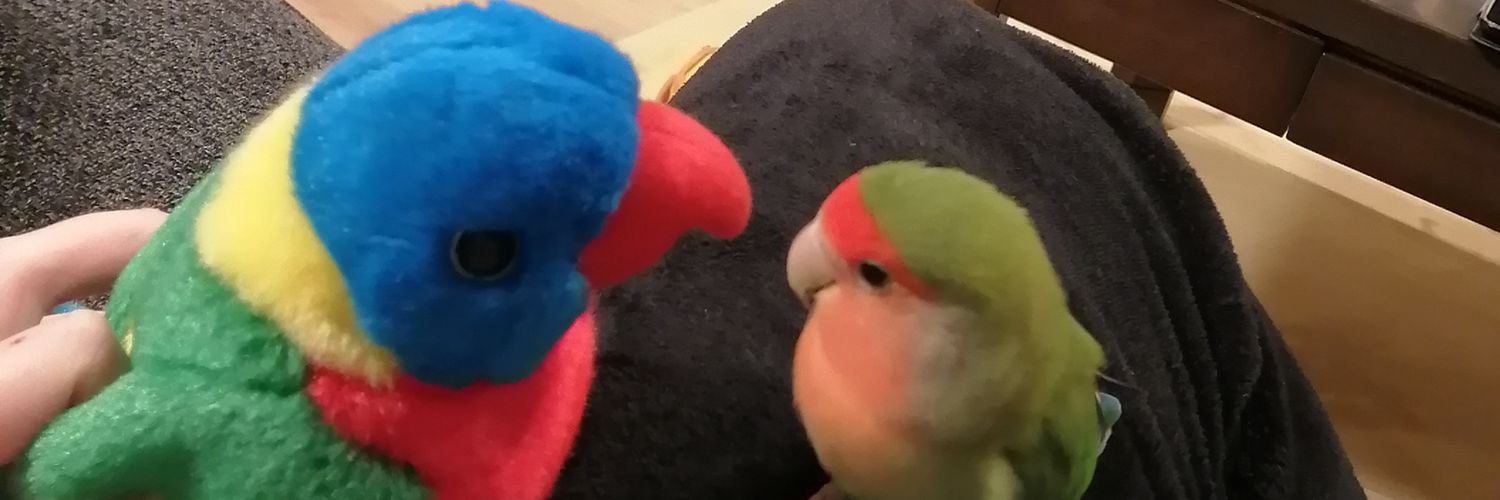 なめこ︎︎☺︎🦖🍒 banner